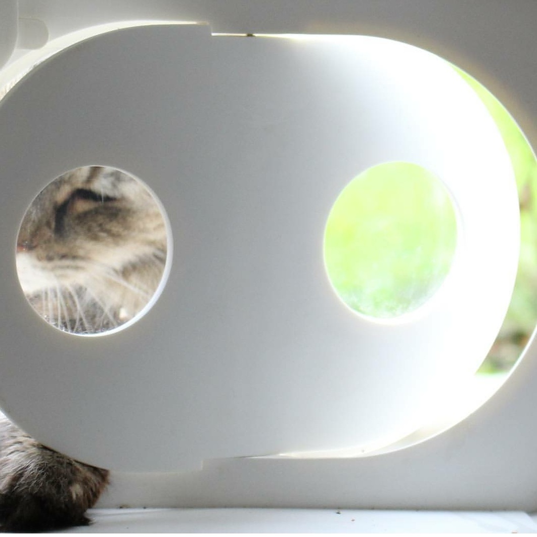 cat flap draught proof